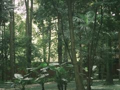 -成都杜甫草堂博物馆