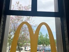 -麦当劳(石坝服务区店)
