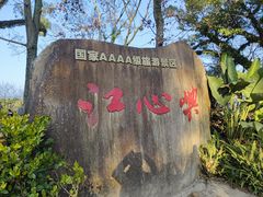 -江心屿景区