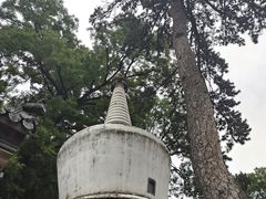 -潭柘寺景区