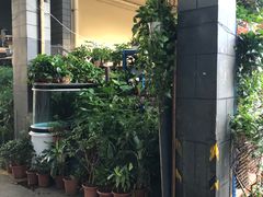 -金田水族花卉市场(银庄大厦店)