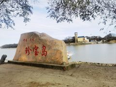 -珍宝岛
