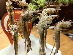 -尚海豆捞(乐虹坊店)