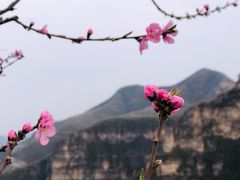 -大平台龙居瀑布旅游区