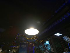 -夜猫子串吧·龙虾.江西小炒(万塘路店)