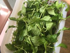 -正能量脆肉鲩火锅