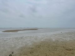 -红树林天天赶海