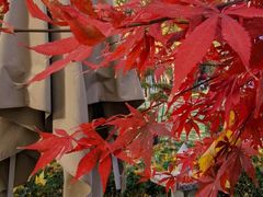 -西安电影制片厂