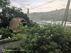 -新加坡飞禽公园