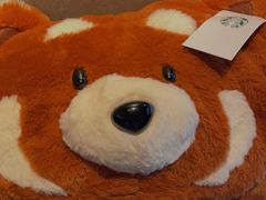 -星巴克(1788广场店)