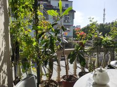 -又见炊烟私房菜(敬亭路店)