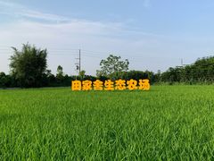 门面-迪茵湖田家舍生态农场