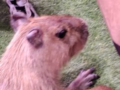 -正佳雨林生态植物园