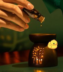 -健身堂科技美肌SPA