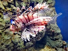 -福州罗源湾海洋世界旅游区