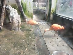 -南昌动物园
