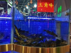 -蛙一刀·麻椒鱼火锅(金仙桥店)