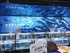 -物美大卖场(玉蜓桥店)