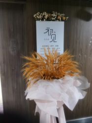 -첫번째 初见美学中心