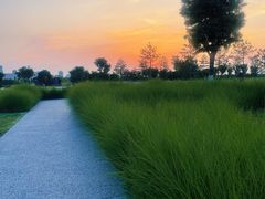 -汉长安城未央宫国家考古遗址公园