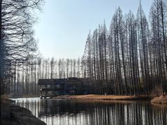 -黄海国家森林公园