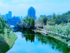 -眉山湿地公园(东坡区)