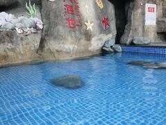 -灵秀温泉