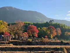 -塔川景区
