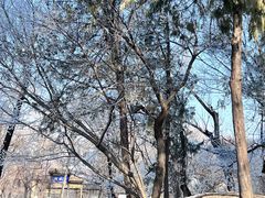 -承德避暑山庄景区