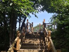 -大岭沟猕猴桃谷风景区