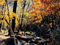 -玉渡山自然风景区