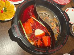 -牛市坎火锅(建设路店)