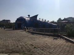 -日照海滨国家森林公园