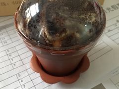 -蜜津私房蛋糕(缤纷亚洲店)