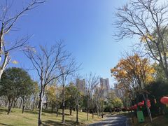-牛岗山公园