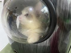 -北京恒爱动物医院(清景园分院)