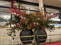-花神咖啡馆