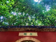 -灵谷景区