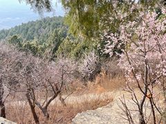 -北京西山国家森林公园