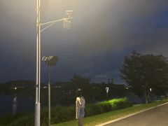-羊山湖公园