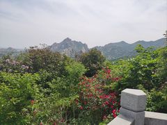 -嵖岈山风景区
