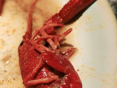 -金海湾自助餐厅(金陵饭店)