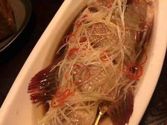-Local泰莲庭(虹鳟鱼店)