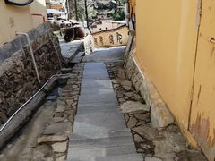 -东天目山风景区