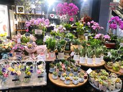 -豆豆花艺(新光天地店)