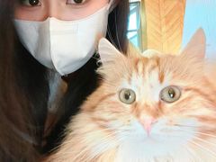 -MOCHA明星猫咖(田子坊店)