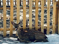 -水上乐园·欢乐世界