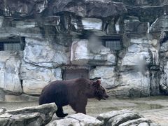 -黔灵山公园