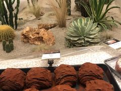 -OUR Bakery(SKP-S店)