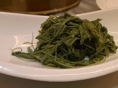 丝瓜尖-中国徽菜·徽商故里(远大店)